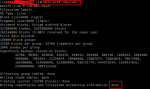 mkfs.ext4 /dev/sdb1